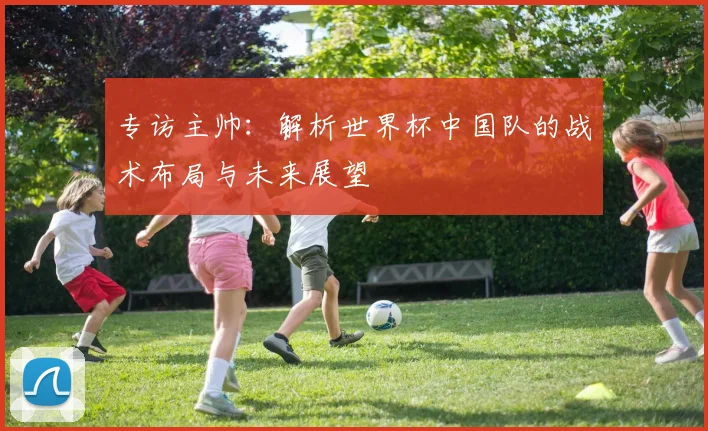 专访主帅：解析世界杯中国队的战术布局与未来展望
