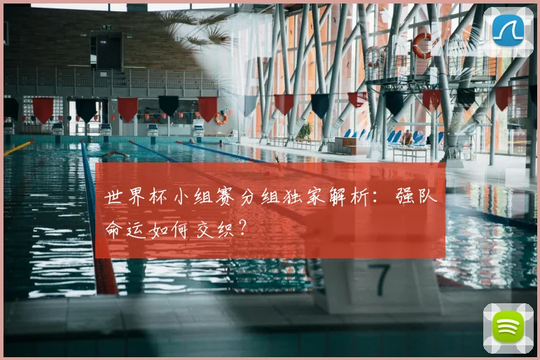 世界杯小组赛分组独家解析：强队命运如何交织？