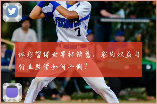 体彩暂停世界杯销售,彩民权益与行业监管如何平衡?