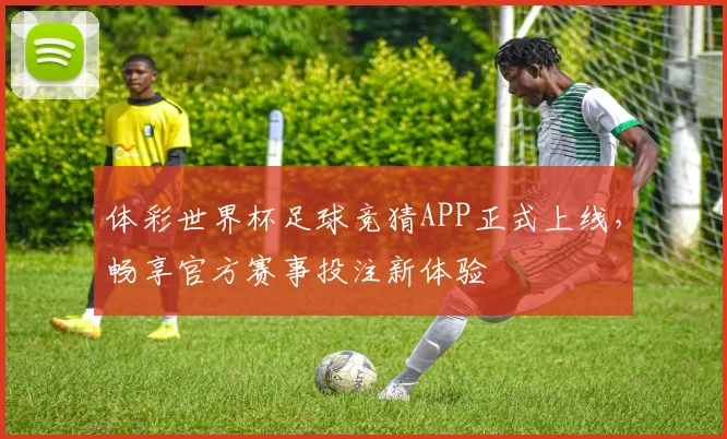 体彩世界杯足球竞猜APP正式上线,畅享官方赛事投注新体验