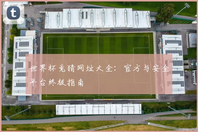 世界杯竞猜网址大全：官方与安全平台终极指南