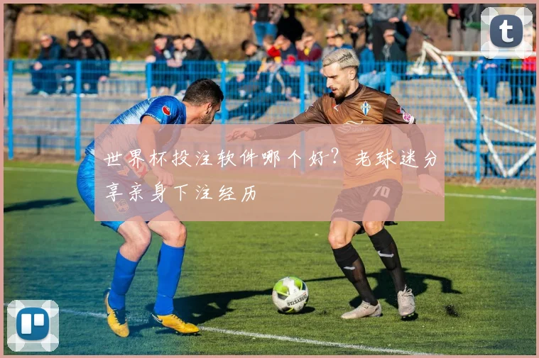 世界杯投注软件哪个好？老球迷分享亲身下注经历