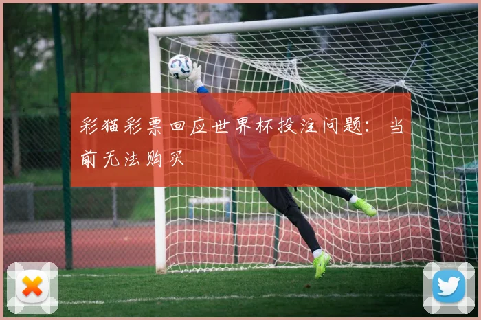 彩猫彩票回应世界杯投注问题：当前无法购买