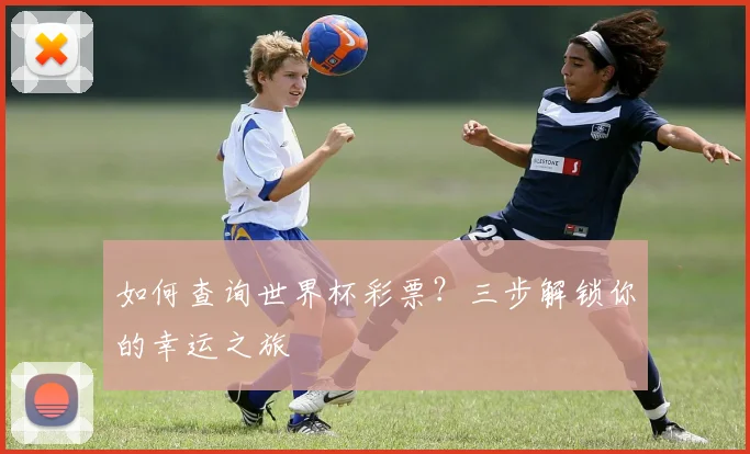 如何查询世界杯彩票？三步解锁你的幸运之旅