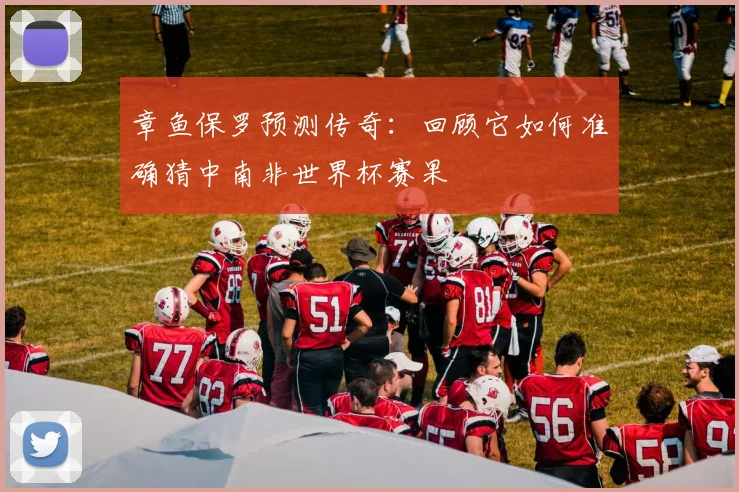 章鱼保罗预测传奇：回顾它如何准确猜中南非世界杯赛果