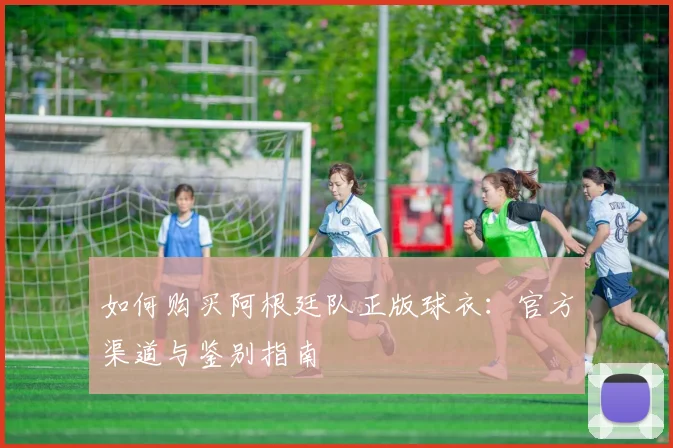 如何购买阿根廷队正版球衣：官方渠道与鉴别指南