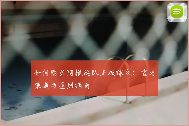 如何购买阿根廷队正版球衣:官方渠道与鉴别指南