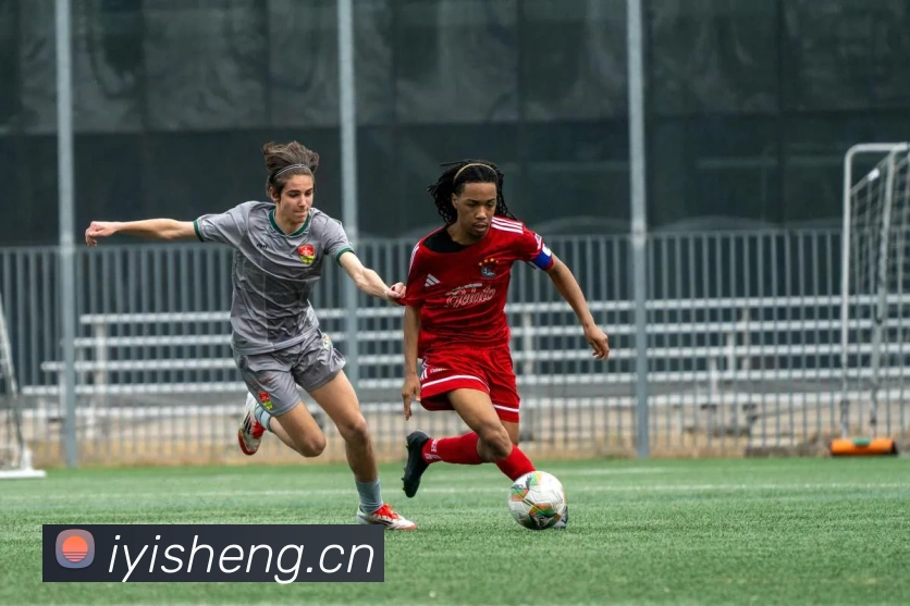 多媒体互动体验